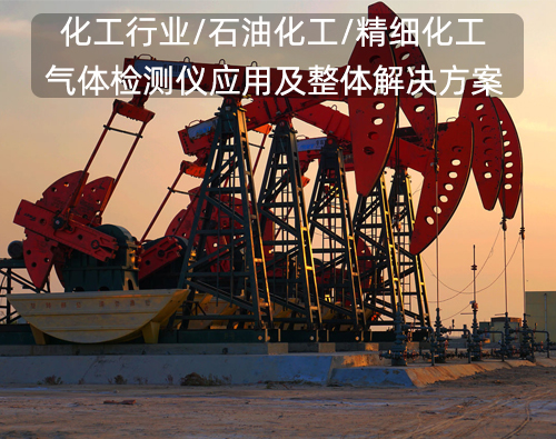 化工行业有毒有害气体解决方案